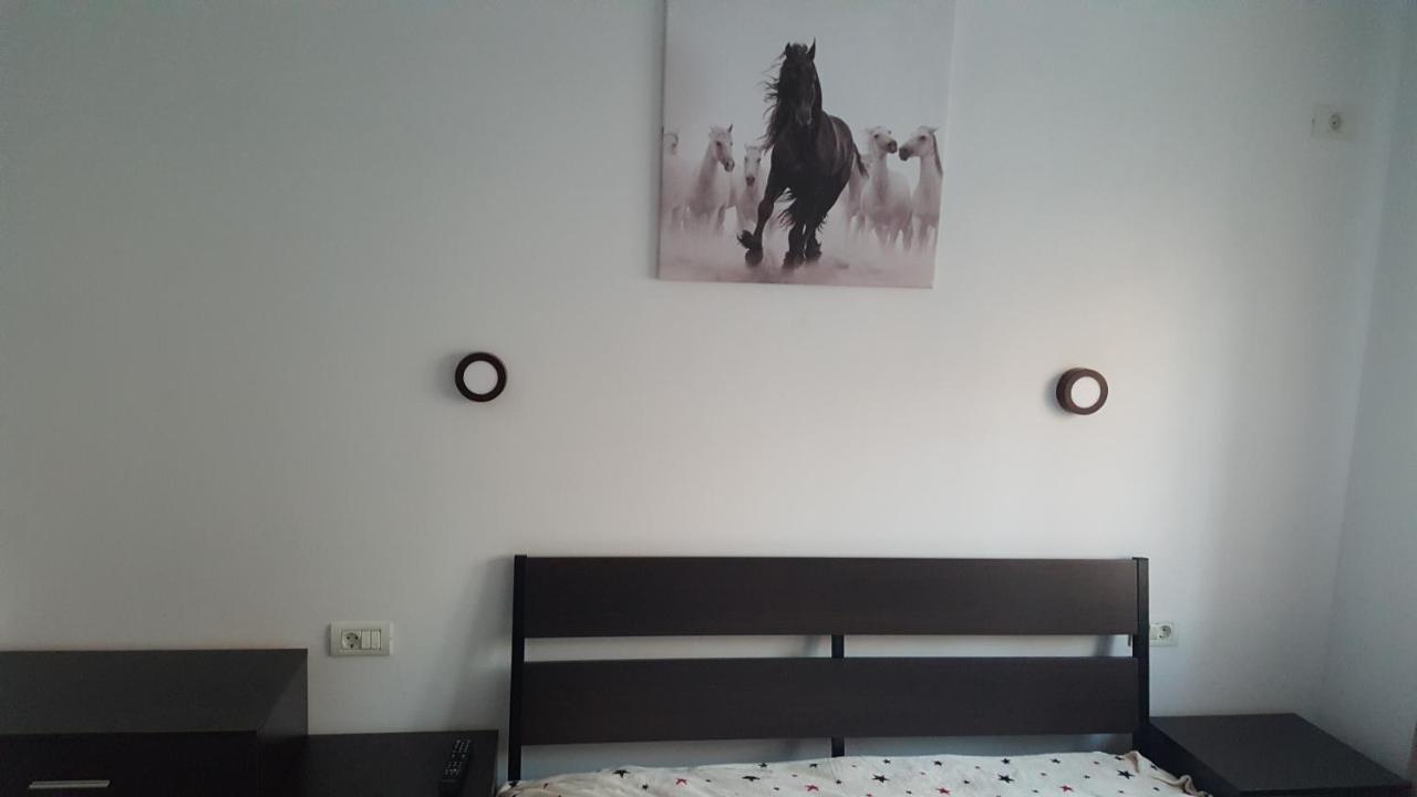 Appartamento Holiday Rezidence Kazeboo Beach Năvodari Esterno foto